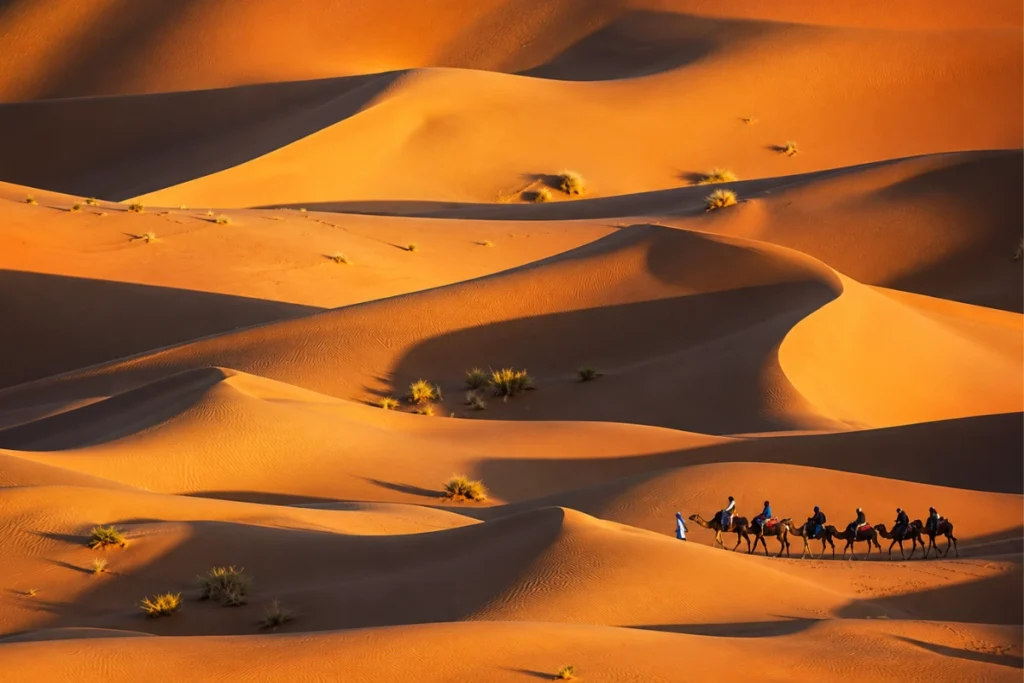 Sahara Desert